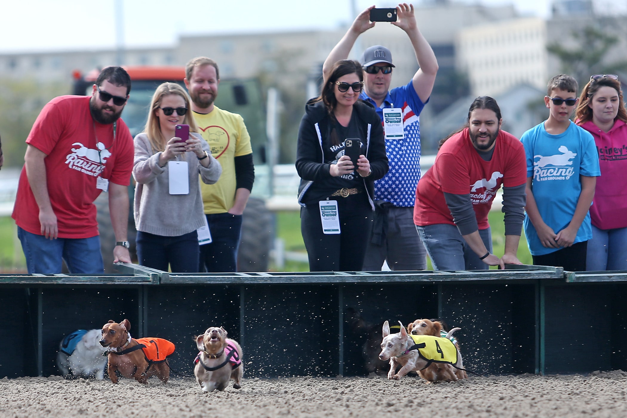 Weiner Dog Races | Essential T-Shirt