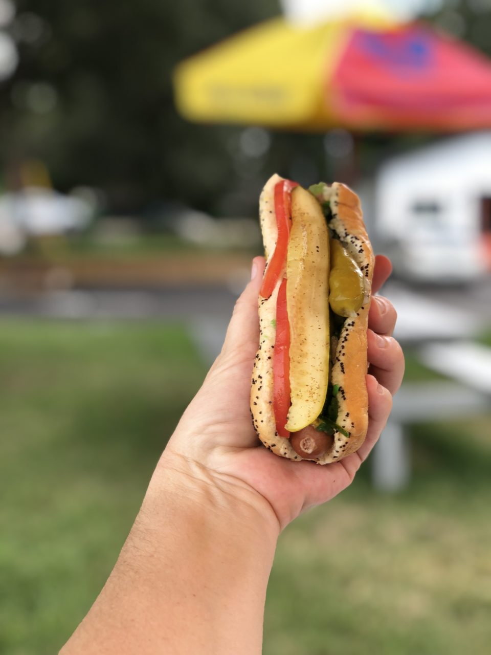 Best Hot Dogs in St. Petersburg FL 2019
