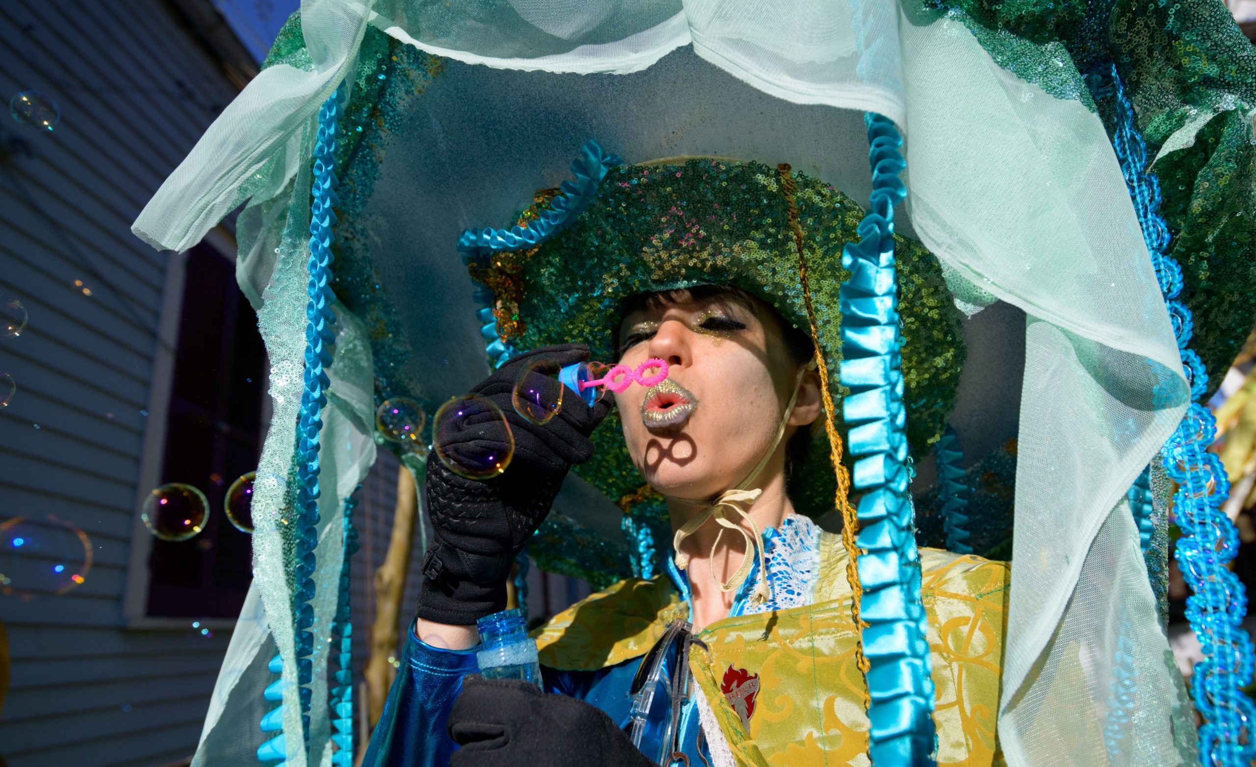 Mardi Gras Costumes - D&D Creations